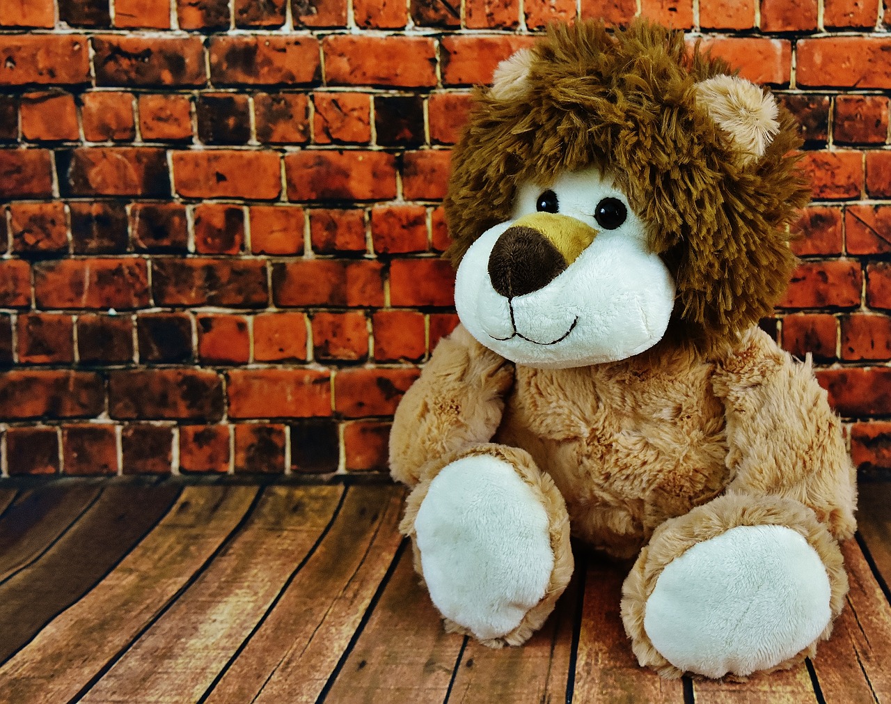 soft toy lion stuffed animal free photo