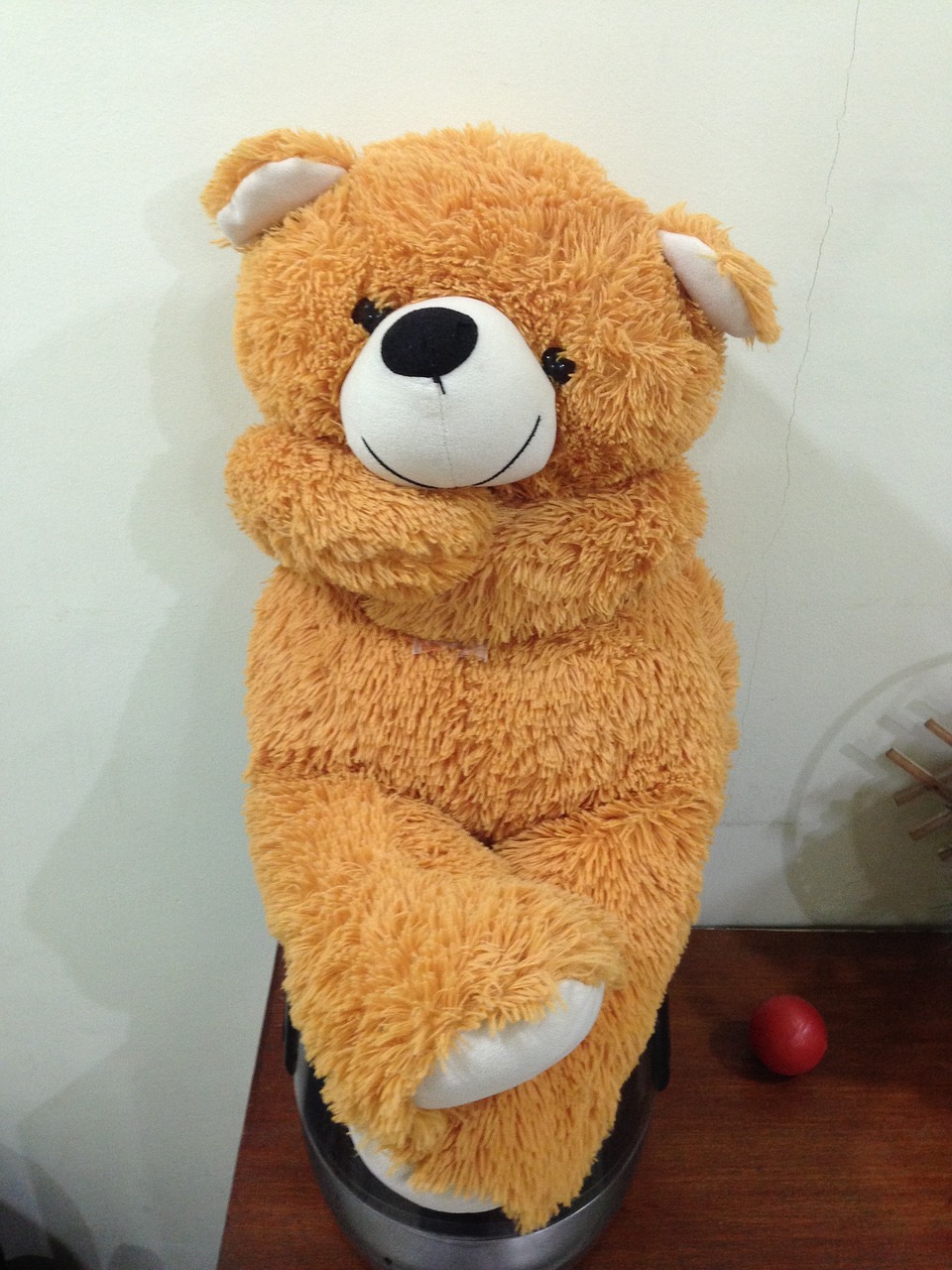 soft toy teddy bear free photo