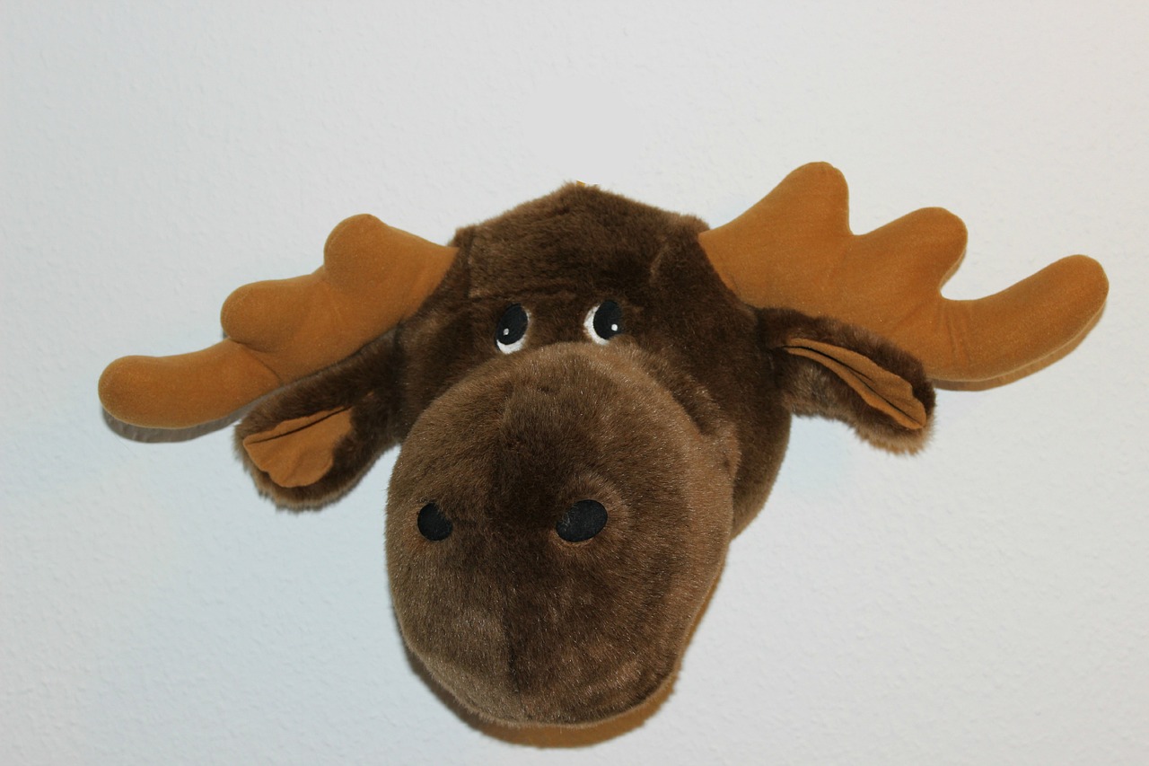 soft toy moose head stuffed animal free photo