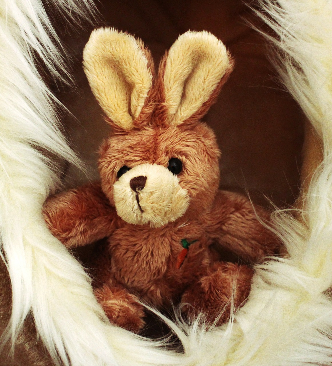 soft toy hare stuffed animal free photo