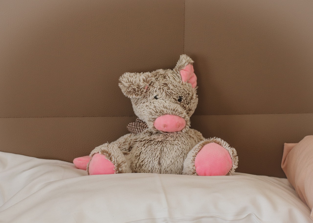 soft toy  pig  pillow free photo