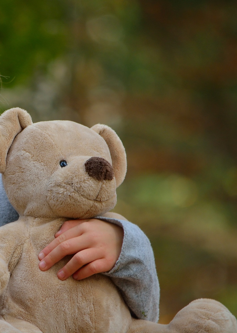 soft toy bear cute free photo