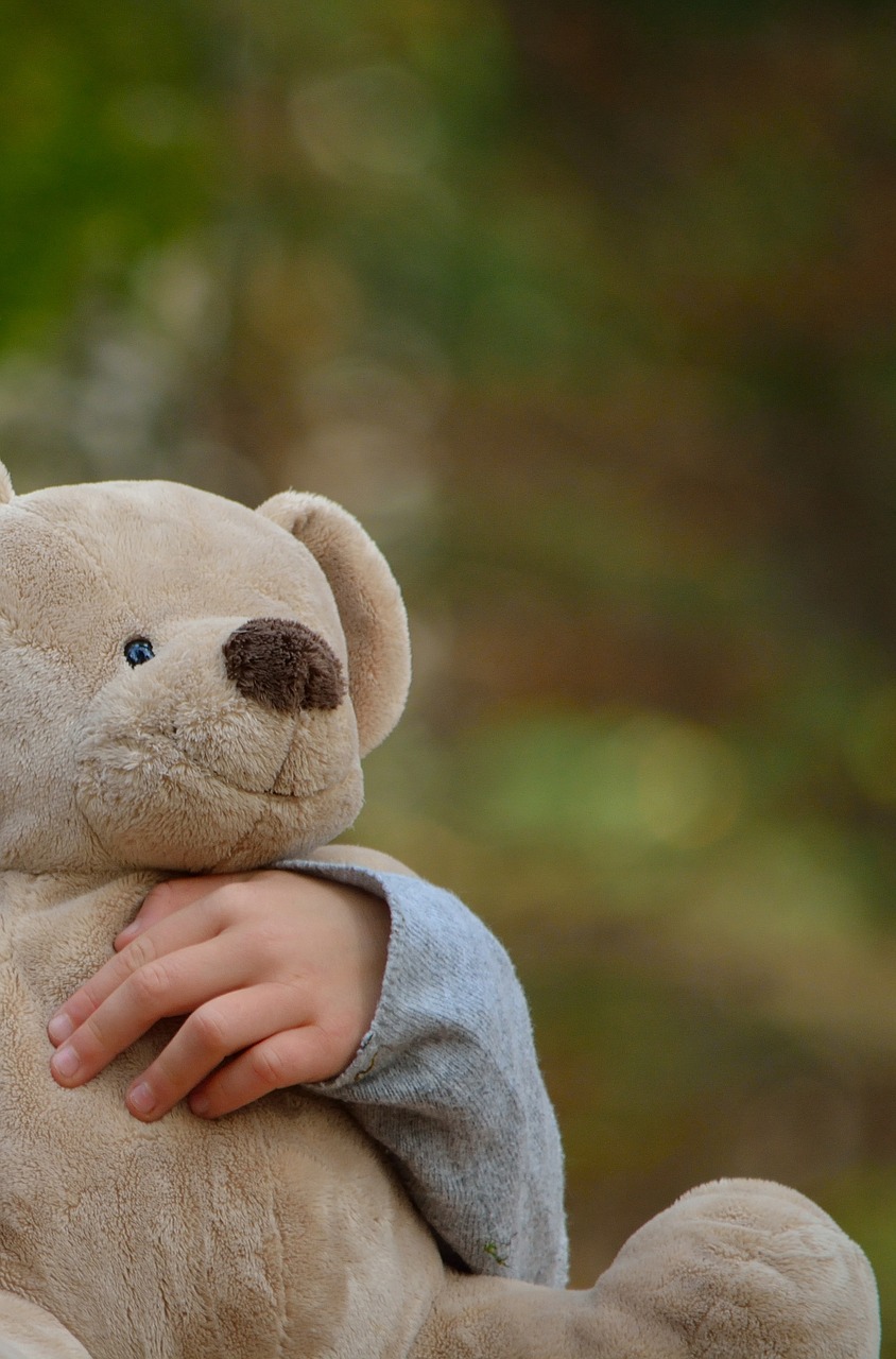 soft toy bear cute free photo