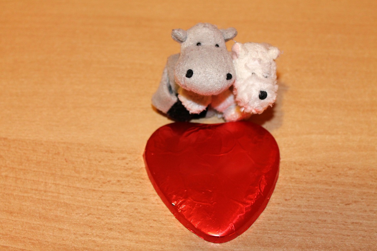 soft toys love affection free photo