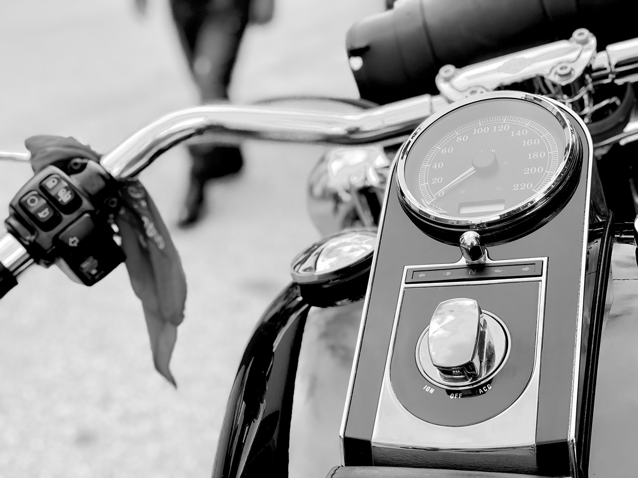 softail  harley  moto free photo