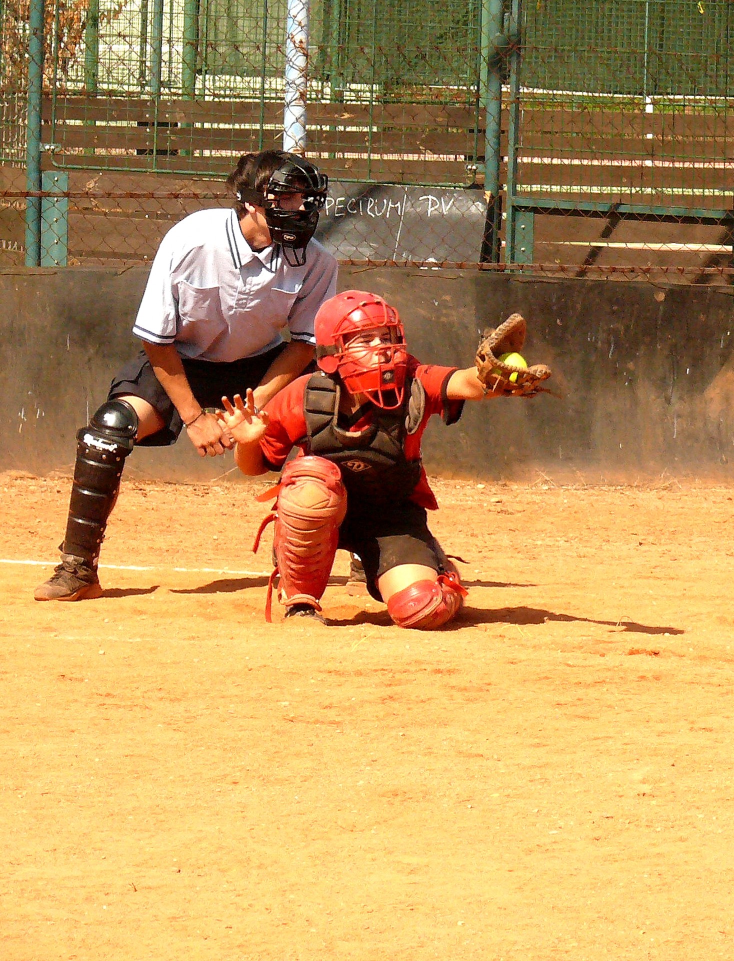 softball ball gloves free photo