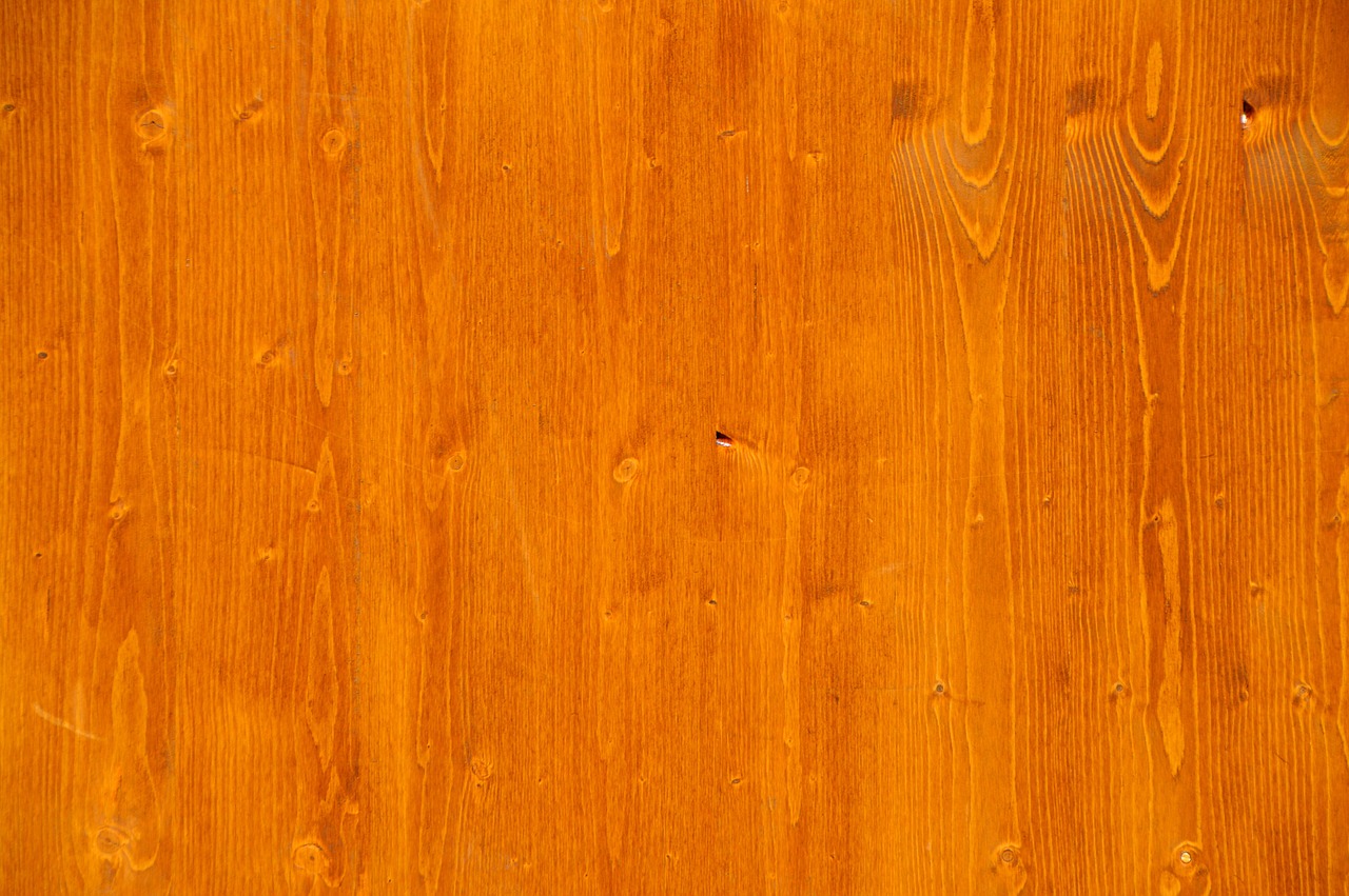 softwood fir texture free photo