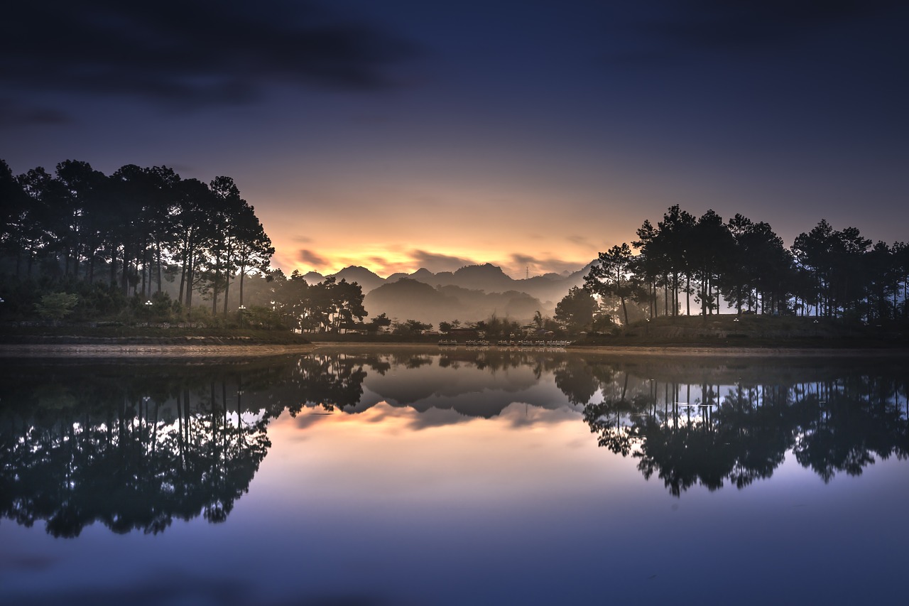 soi ball  the lake  pine forest free photo