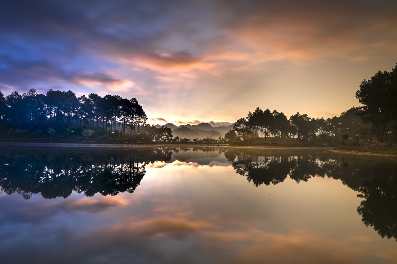 soi ball  the lake  pine forest free photo