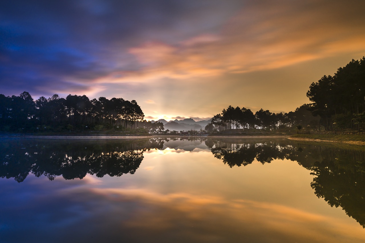 soi ball  the lake  pine forest free photo