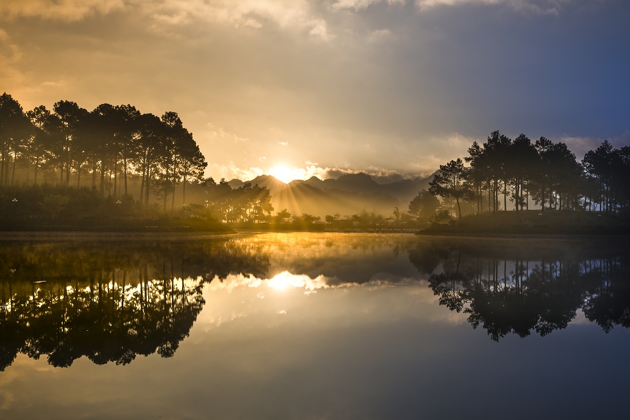 soi ball  the lake  pine forest free photo