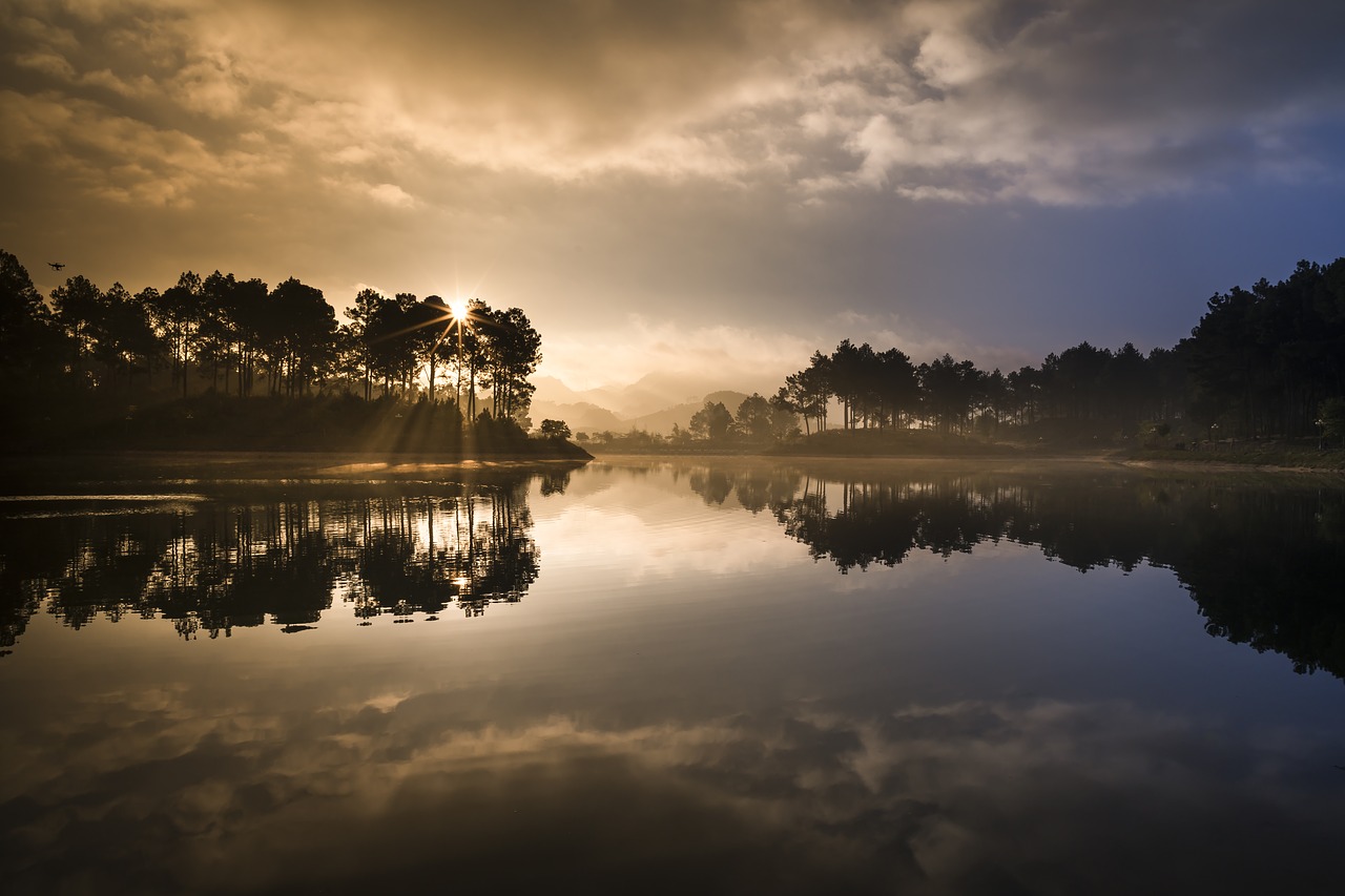 soi ball  the lake  pine forest free photo