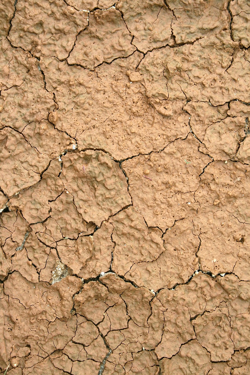 soil mud crack free photo