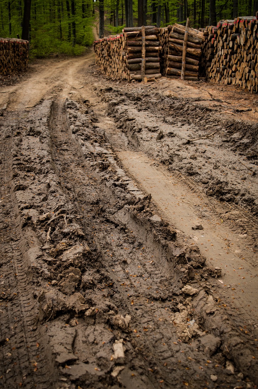 soil  nature  outdoors free photo