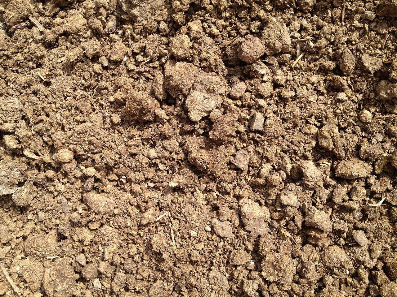 soil grain crush free photo