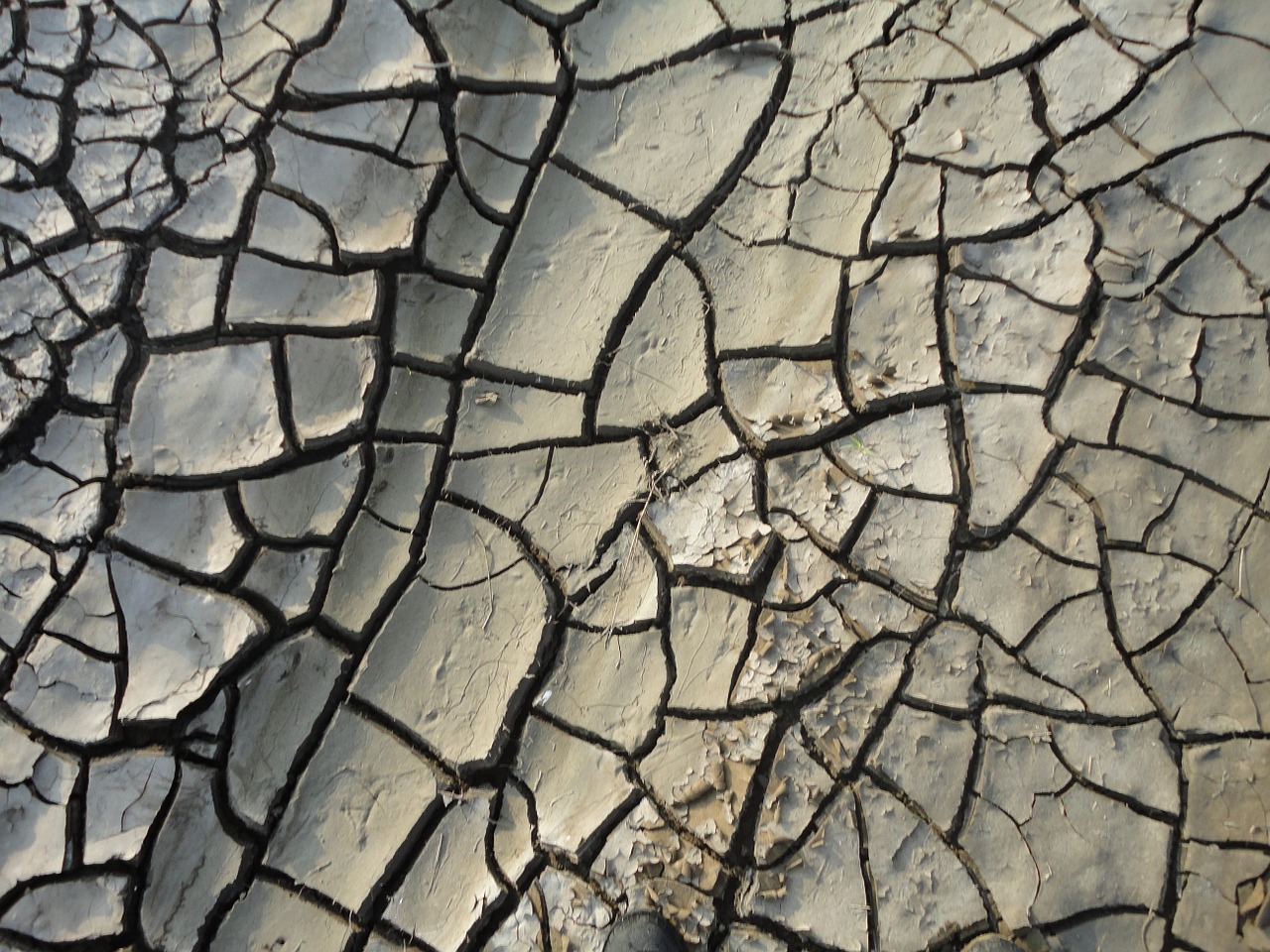 soil earth cracks free photo
