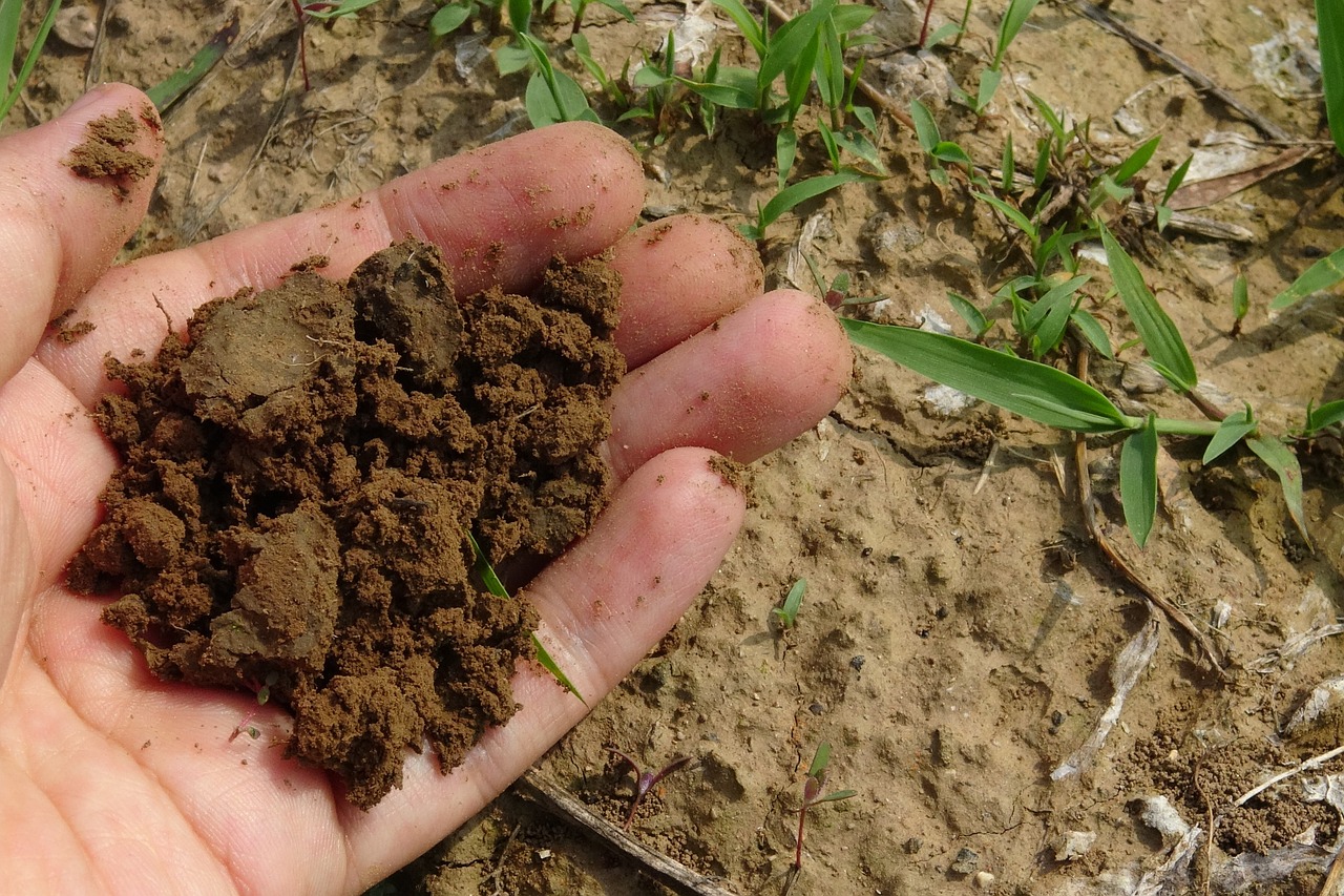 soil compost farm free photo