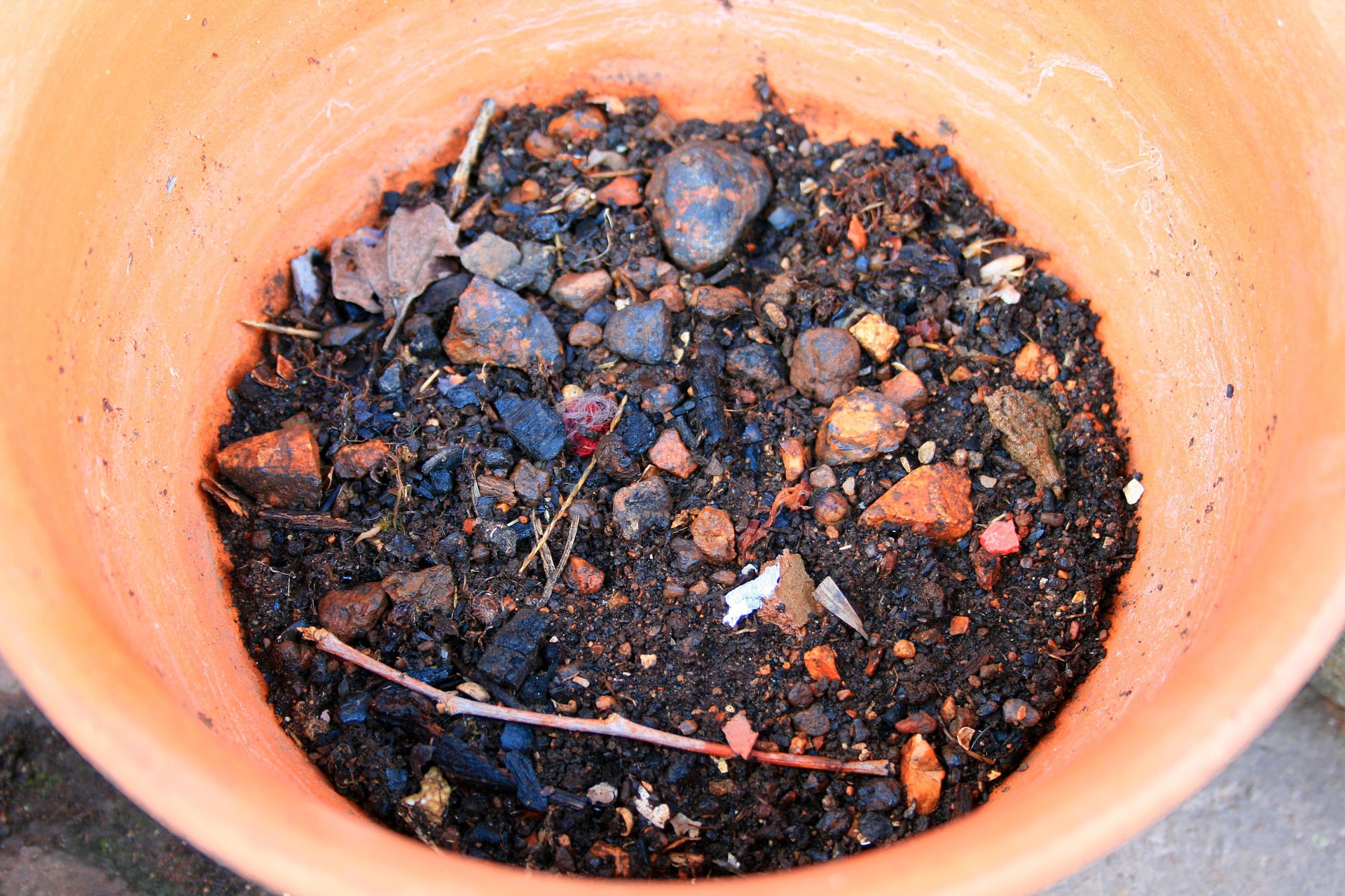 pot terracotta soil free photo