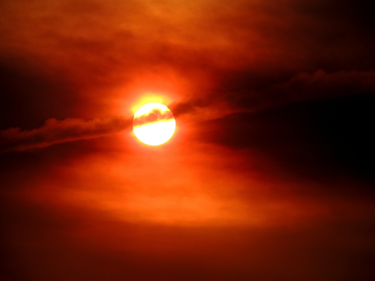 sol sunset against light free photo