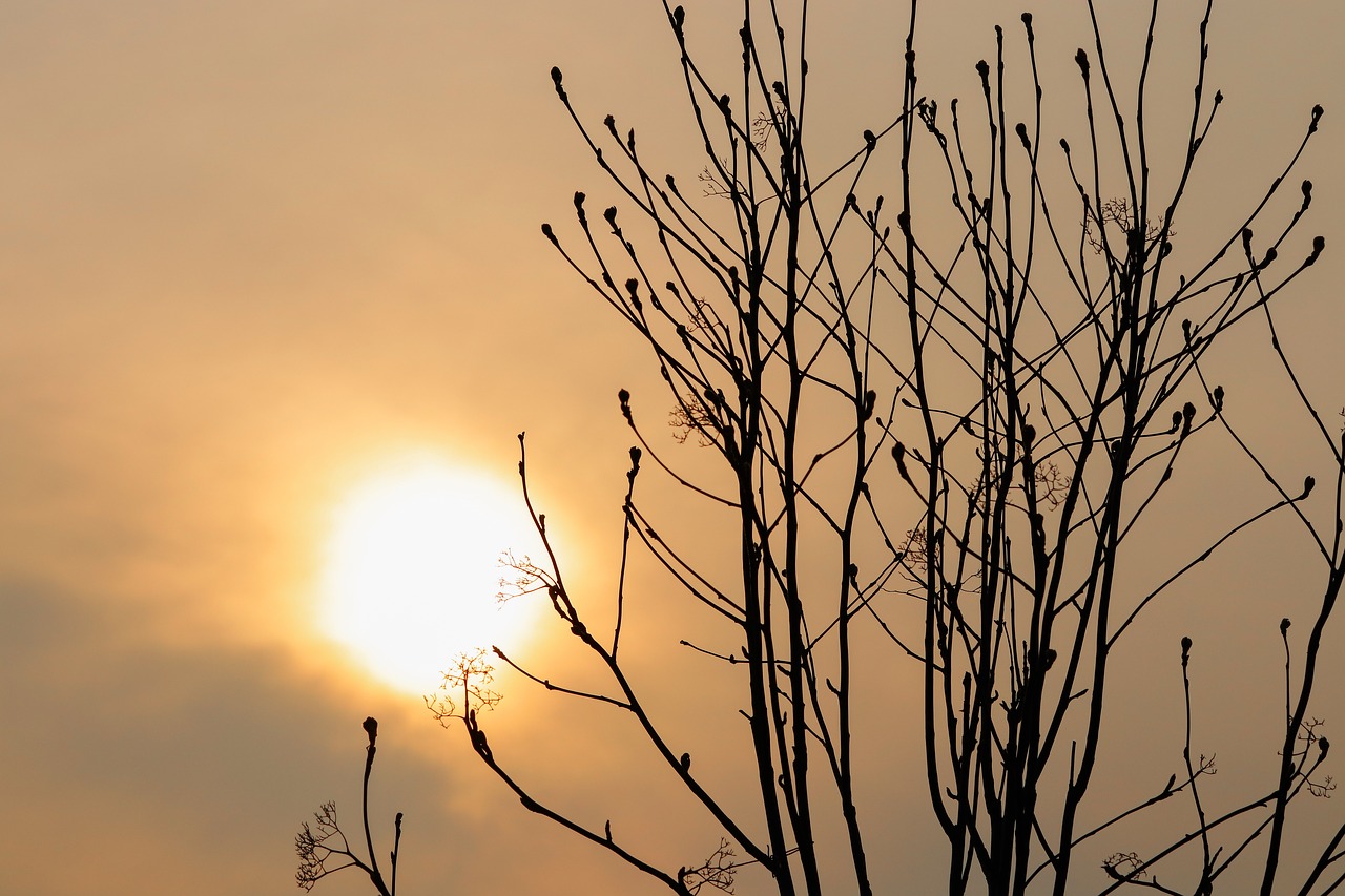 sol  sunset  clouds free photo