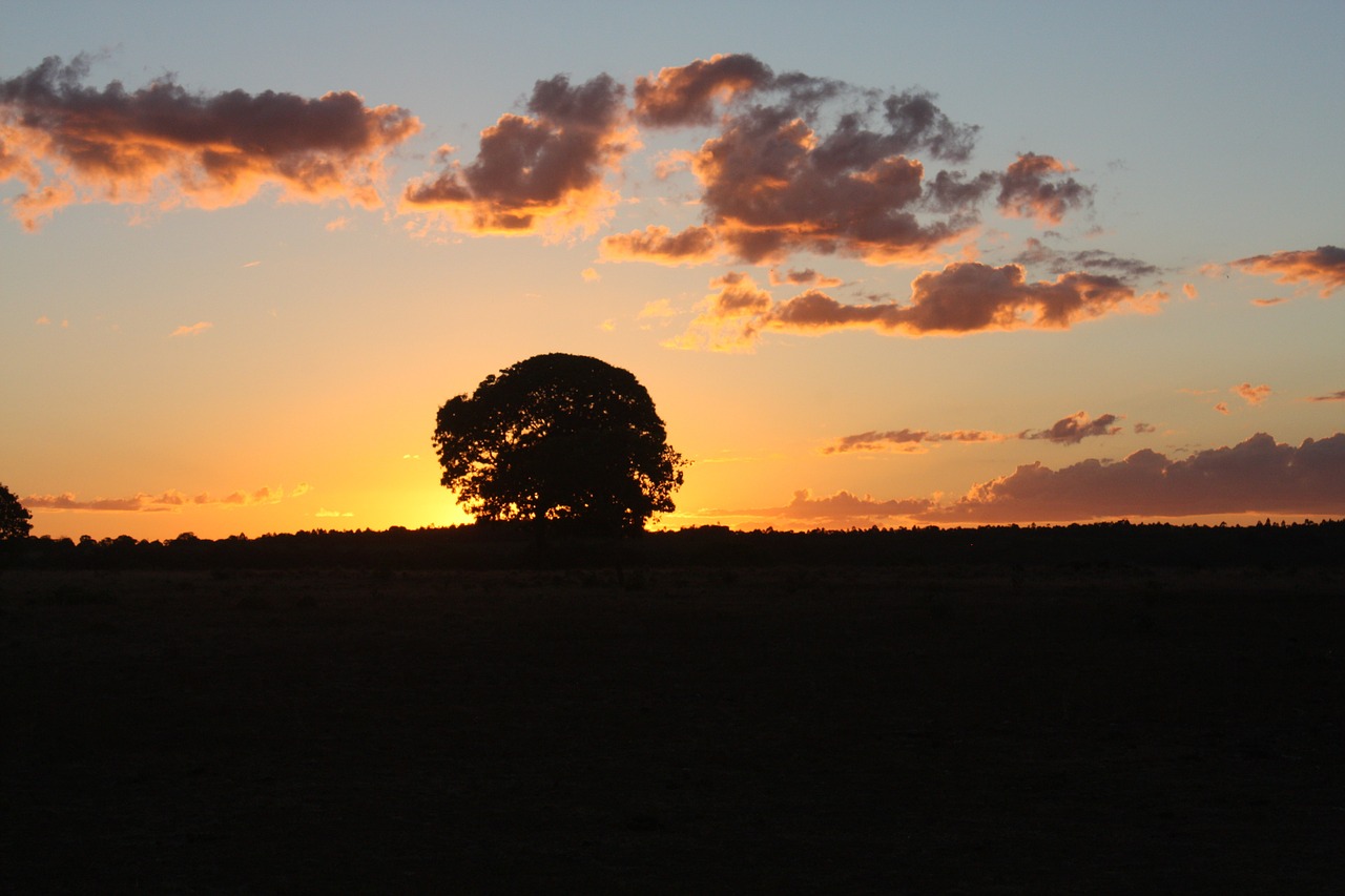 sol landscape farm free photo