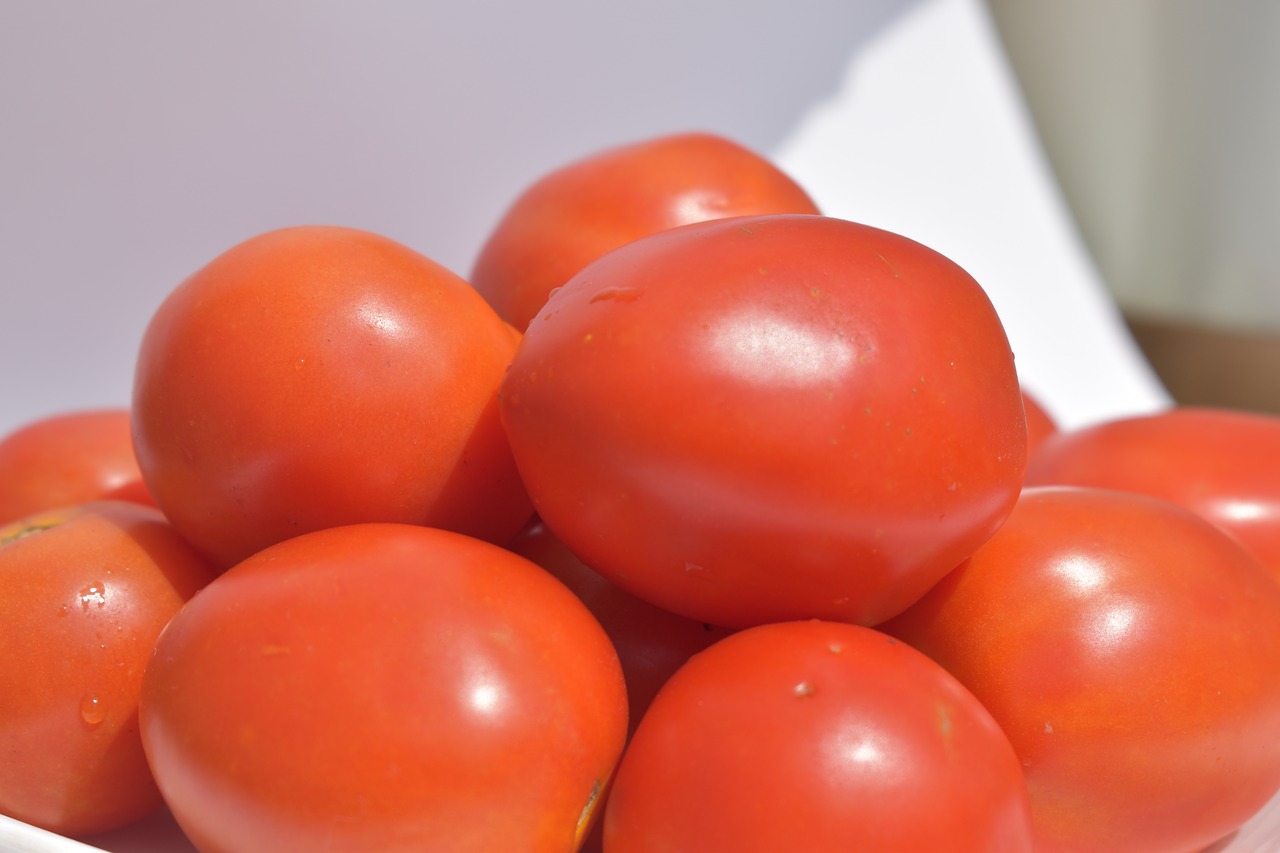 solanum lycopersicum tomatoes red free photo