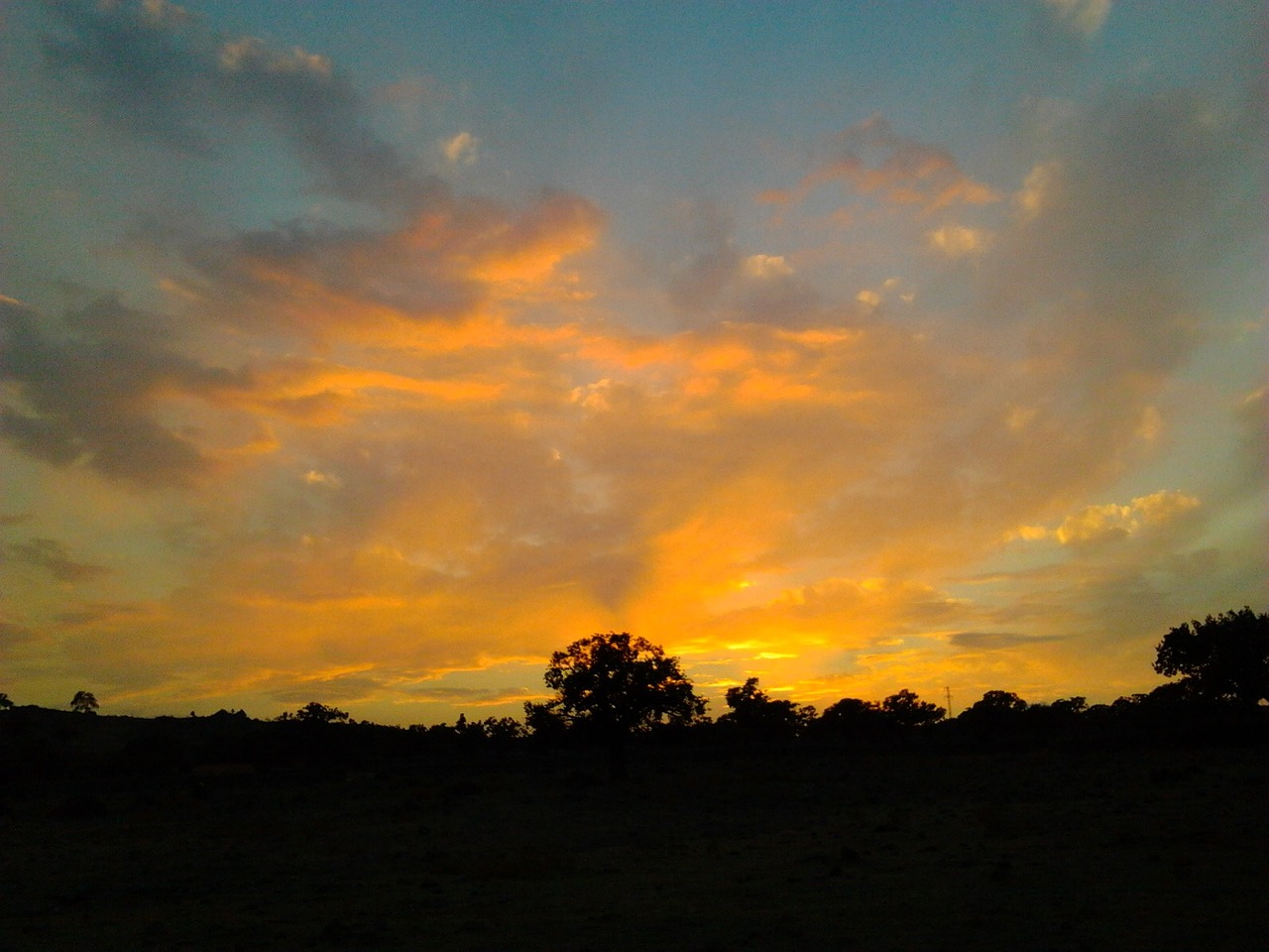 solar clouds tree free photo