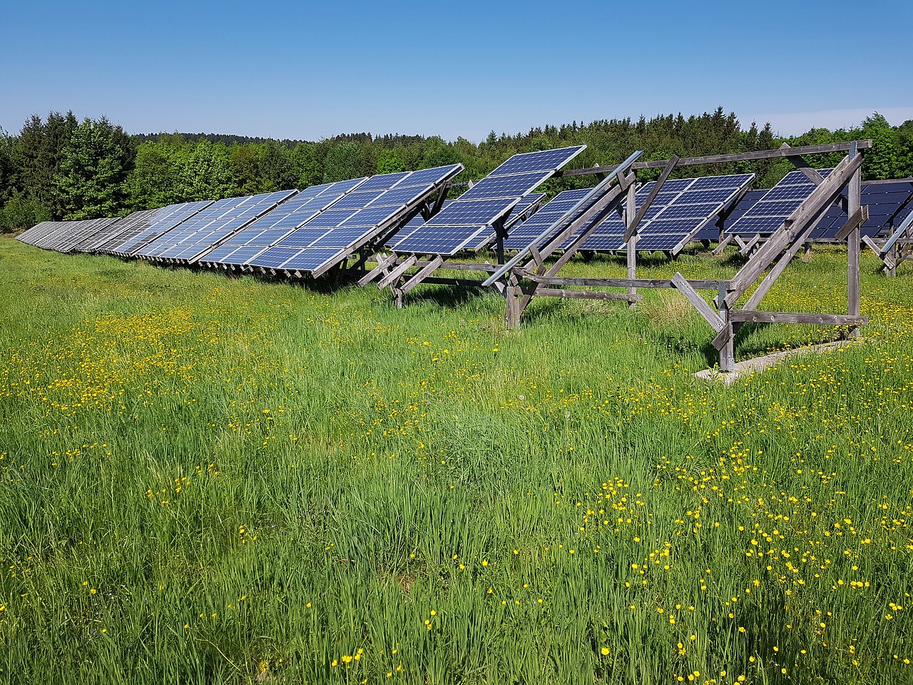 solar field  meadow  energy free photo