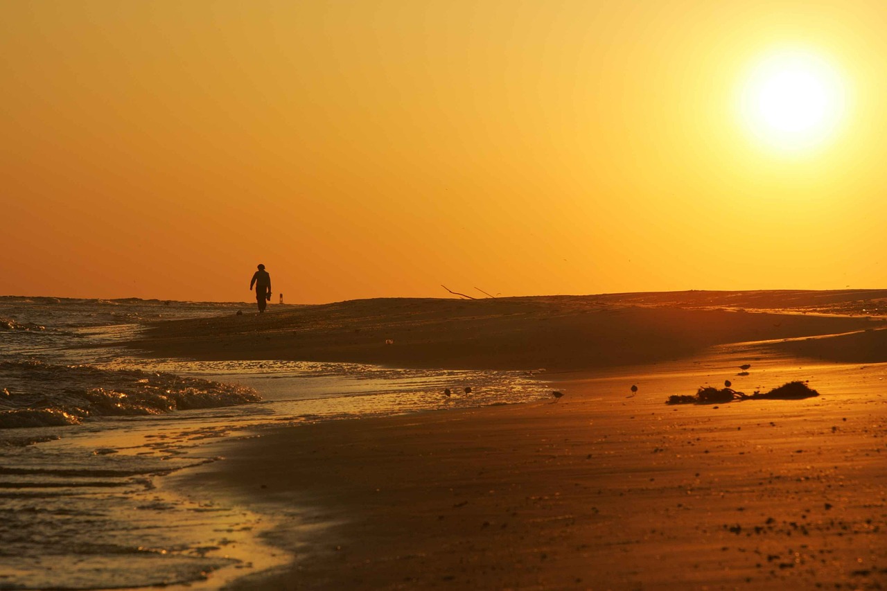 solitary beach person sunset sea free photo