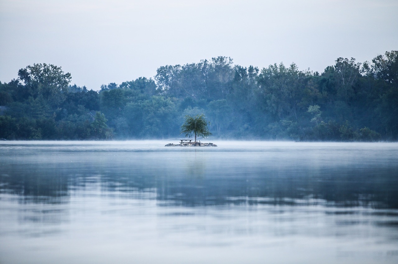 solitude fog lake free photo