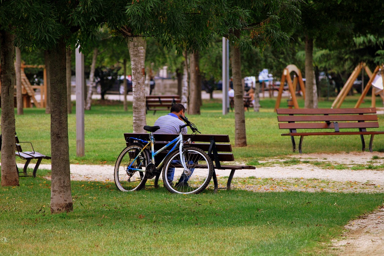 solitude bench man free photo