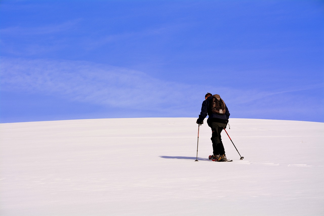 solitude snowshoes excursion free photo