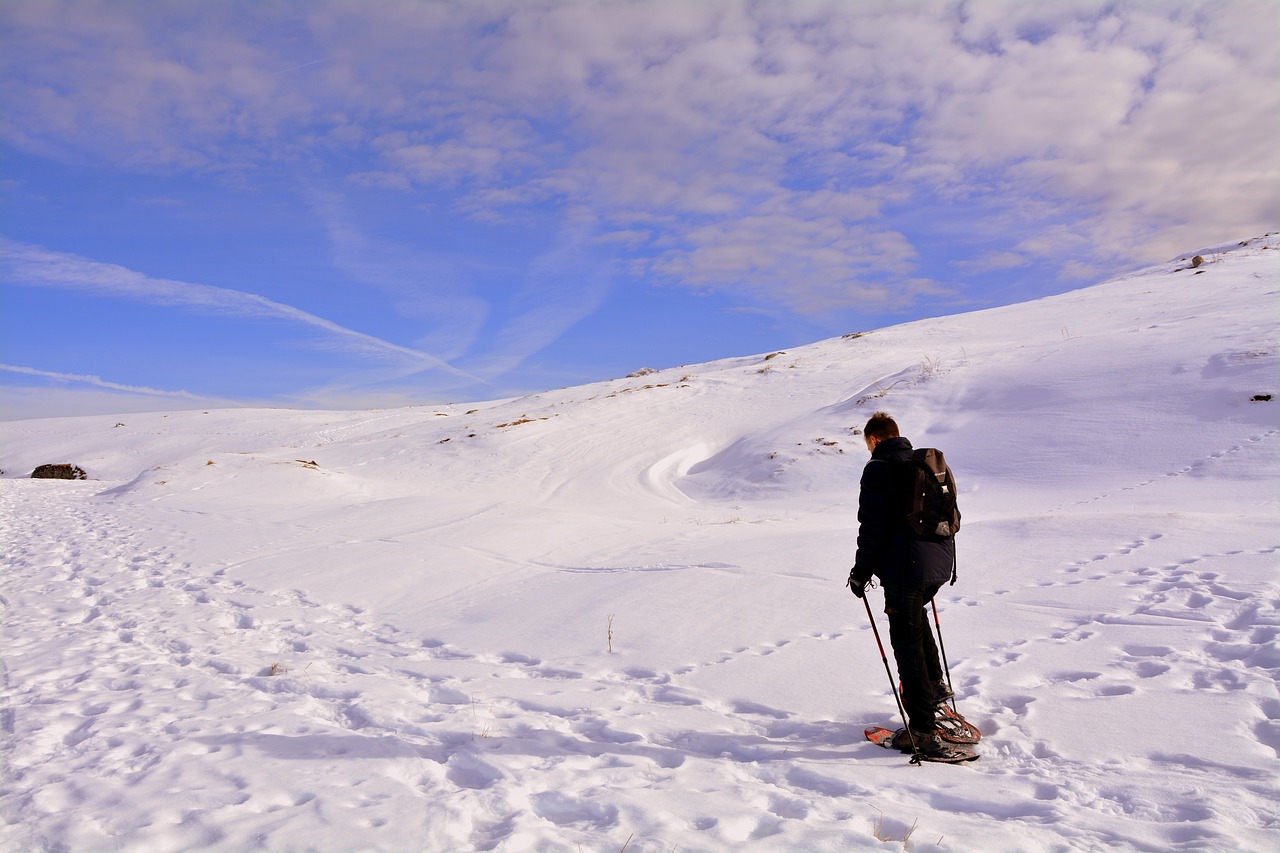 solitude excursion snowshoes free photo