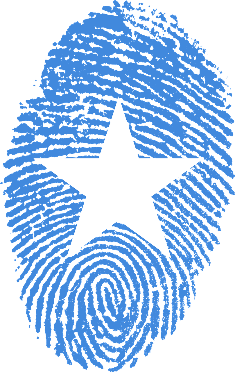 somalia flag fingerprint free photo
