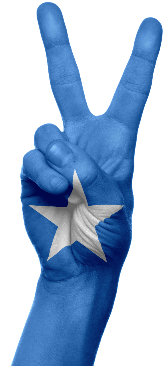 somalia flag hand free photo