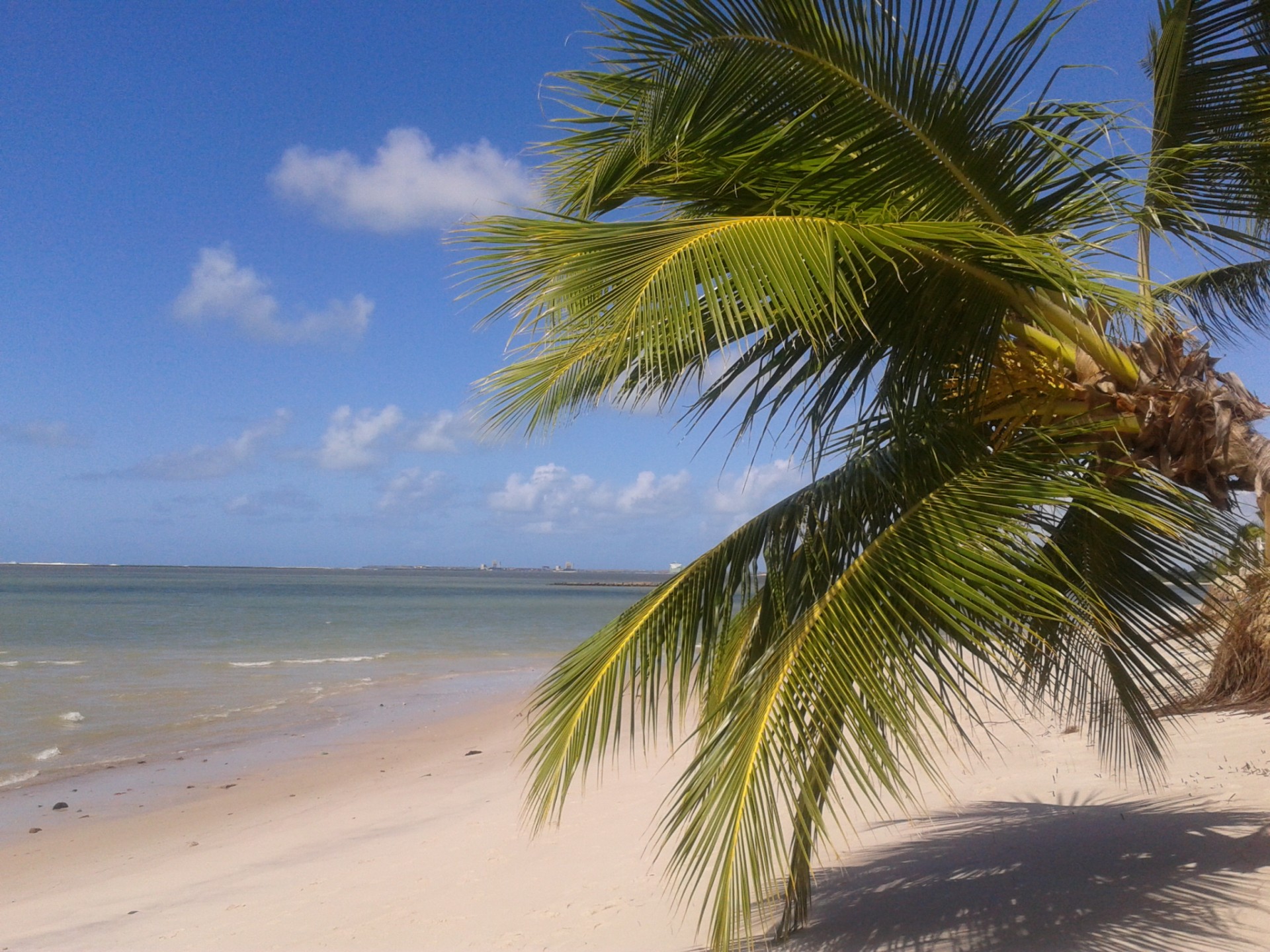 beach shade brazil free photo