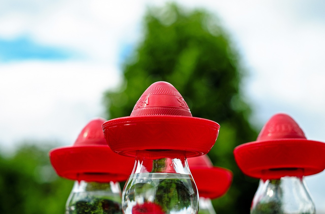 sombrero mexican hat red free photo