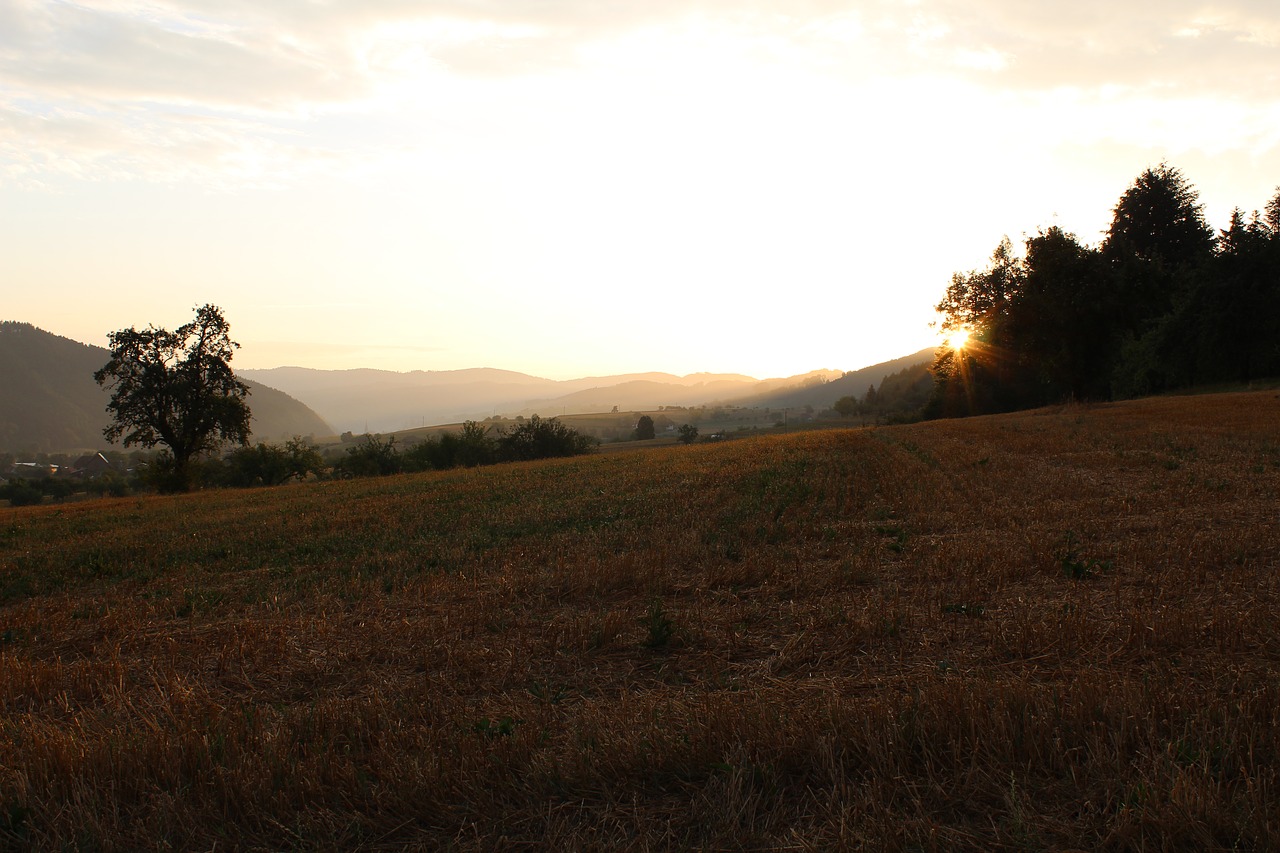 sonnenaufgang  gebirge  landscape free photo