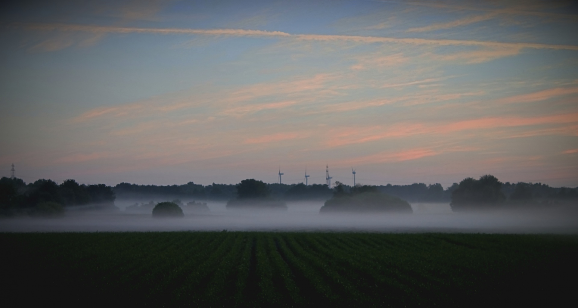 fog landscape forest free photo