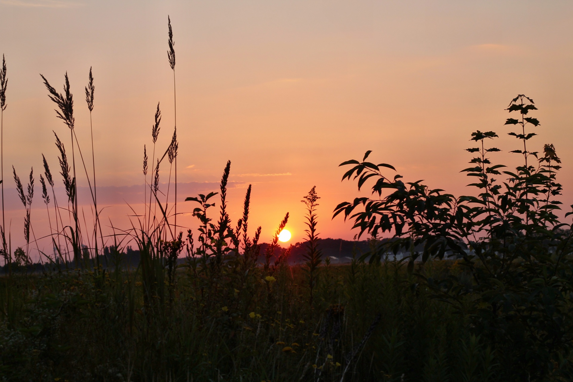 sunrise sky clouds free photo