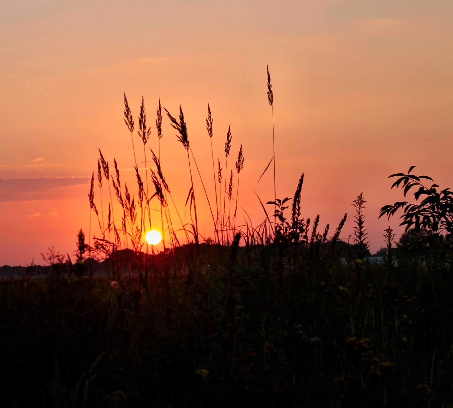 sunrise sky clouds free photo