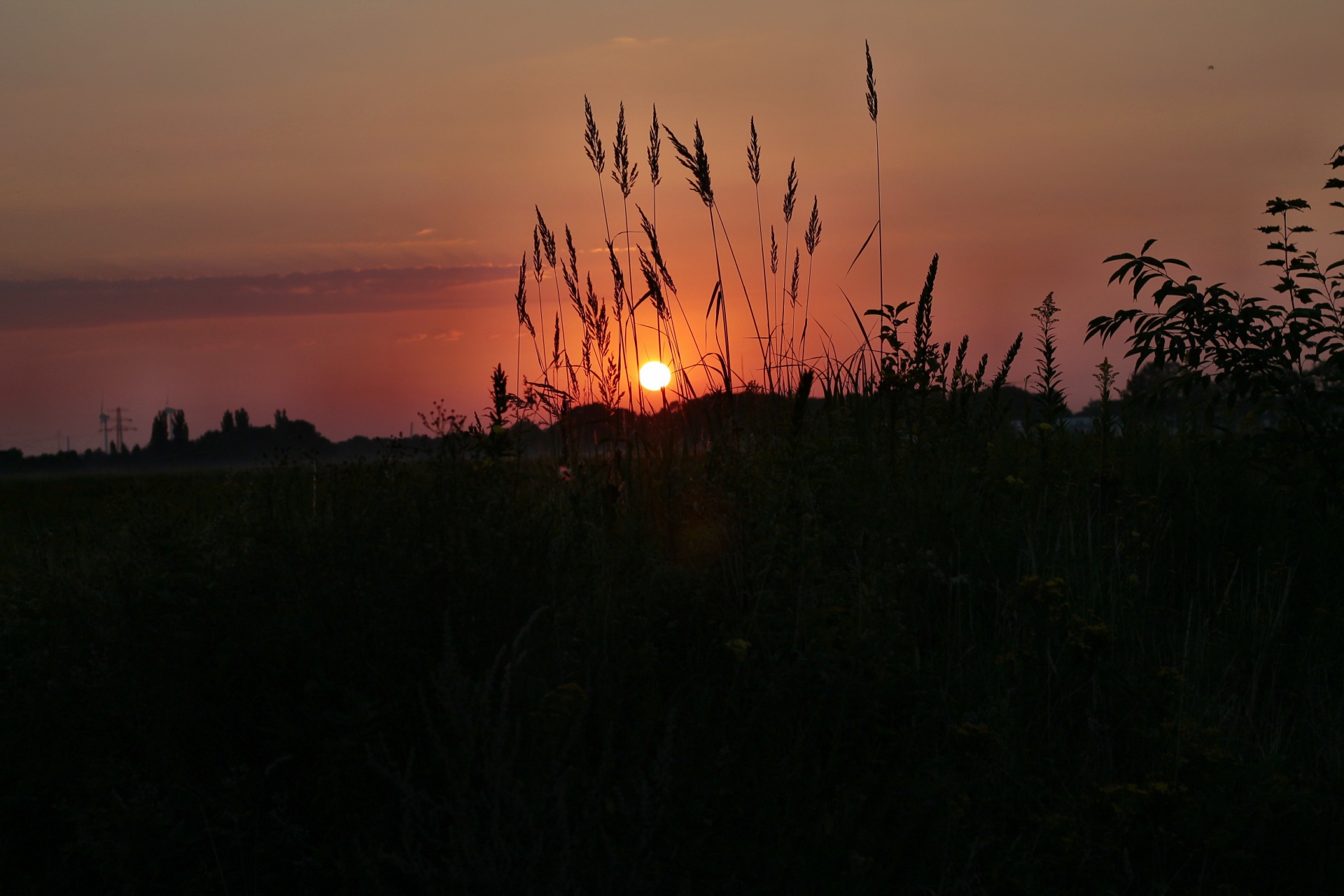 sunrise sky clouds free photo