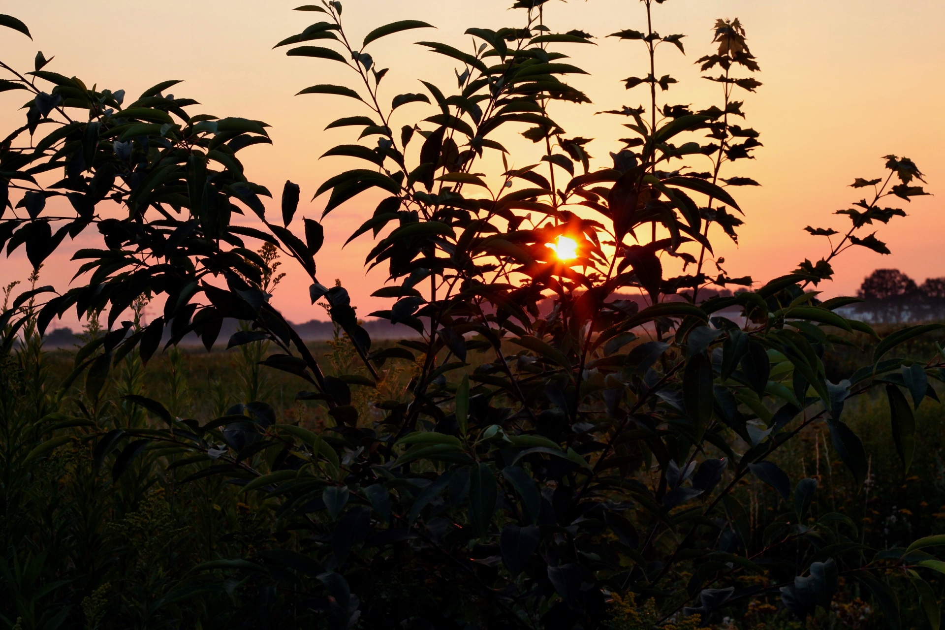 sunrise sky clouds free photo