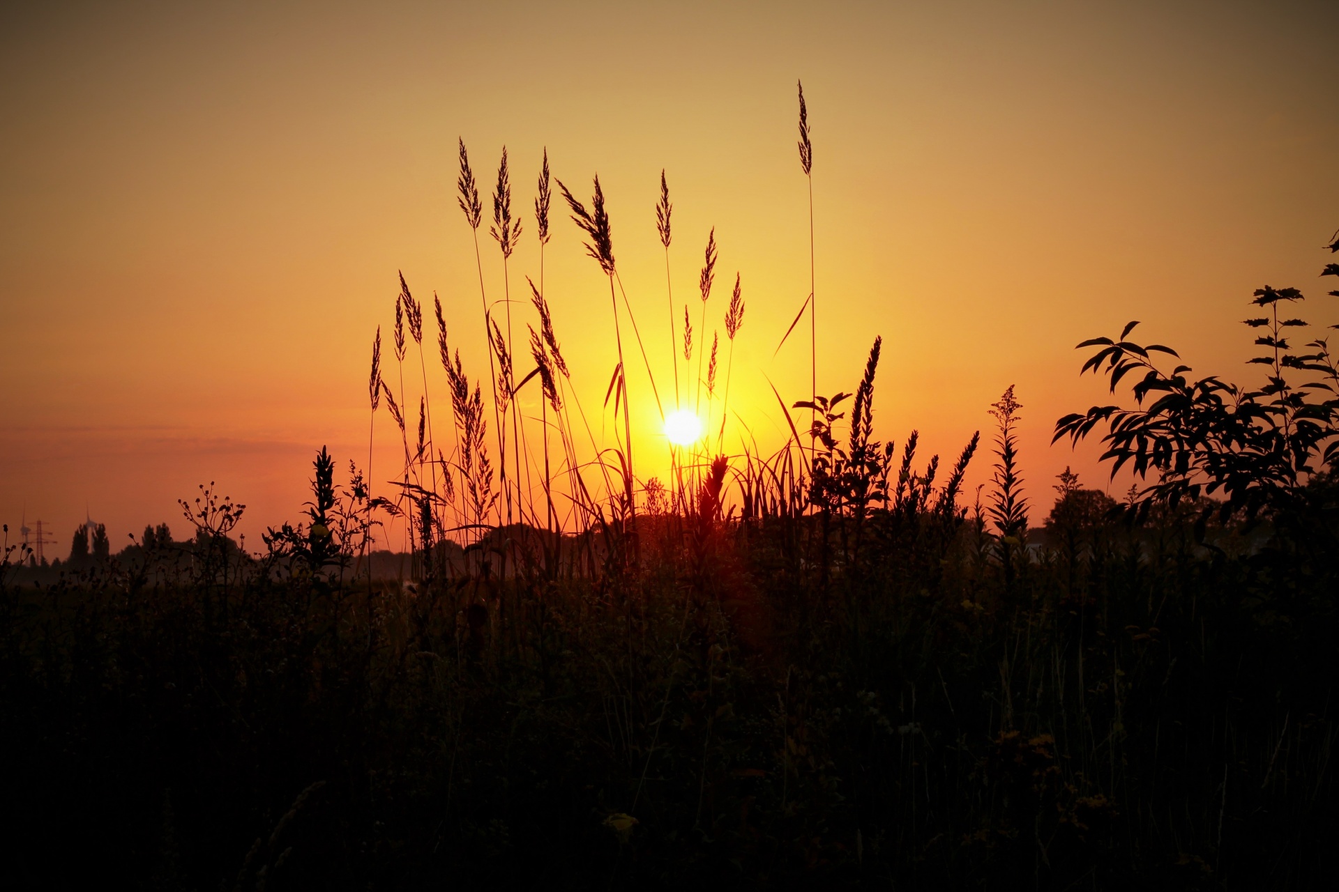 sunrise sky clouds free photo