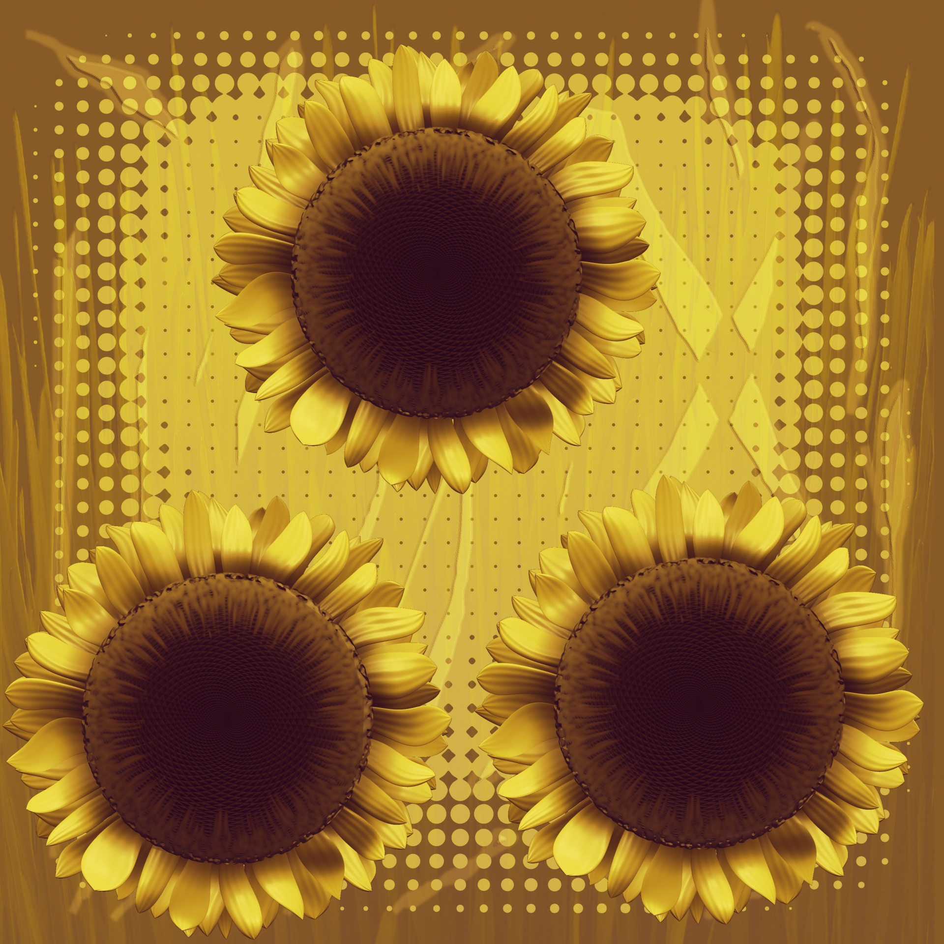 sunflower yellow plant free photo