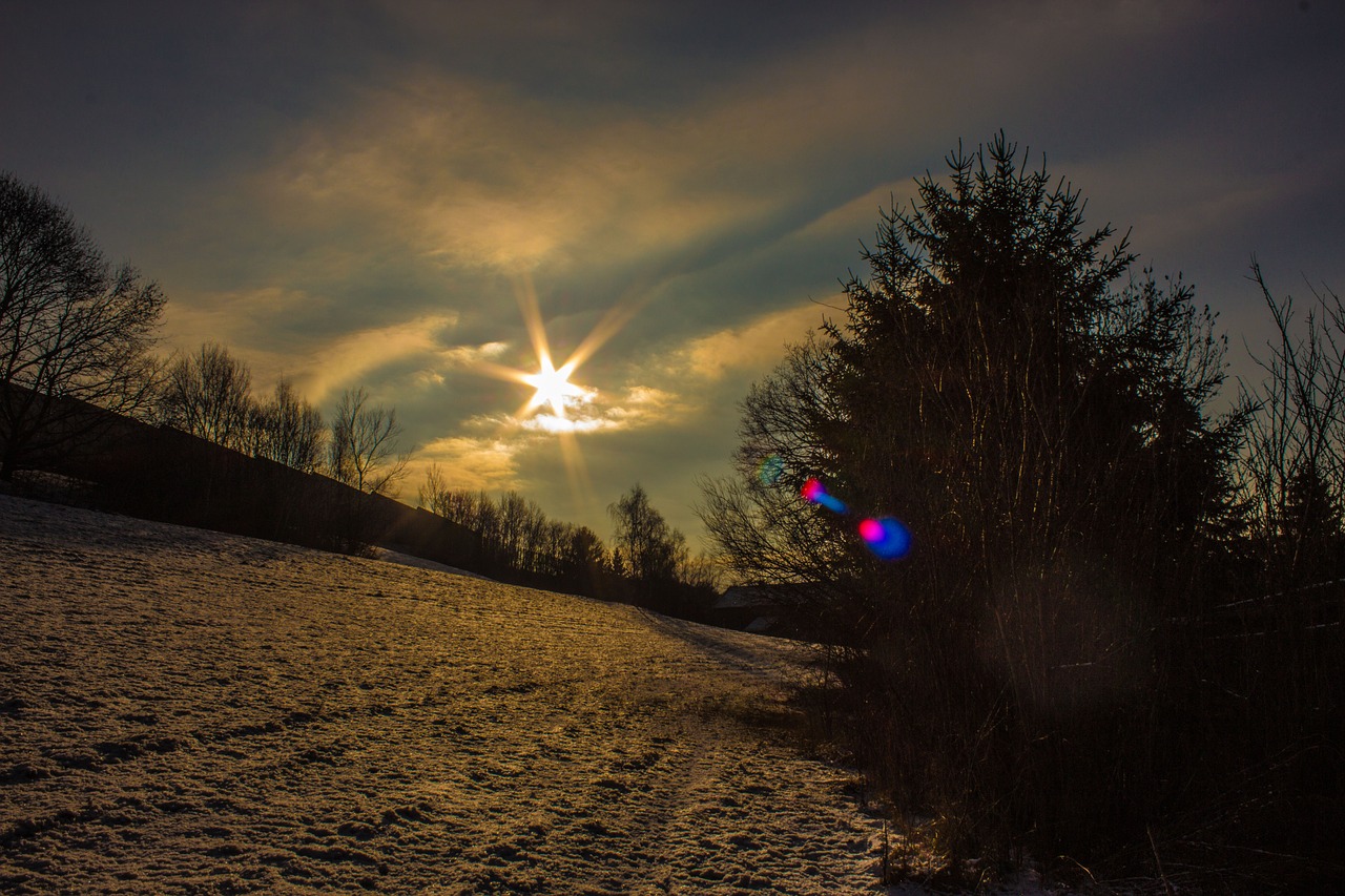 sonnenstern  winter  wintry free photo