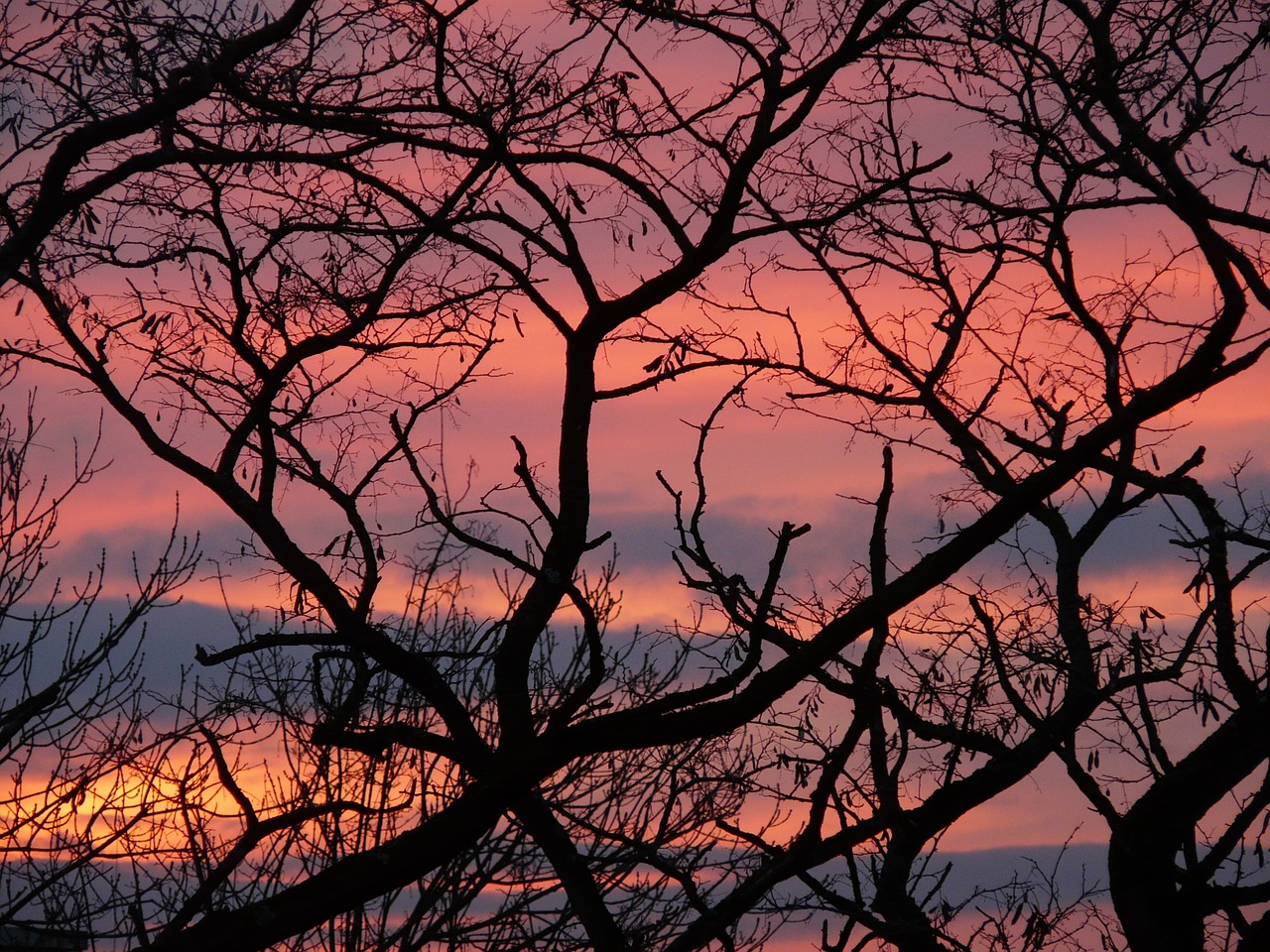 sonnentuntergang sky afterglow free photo