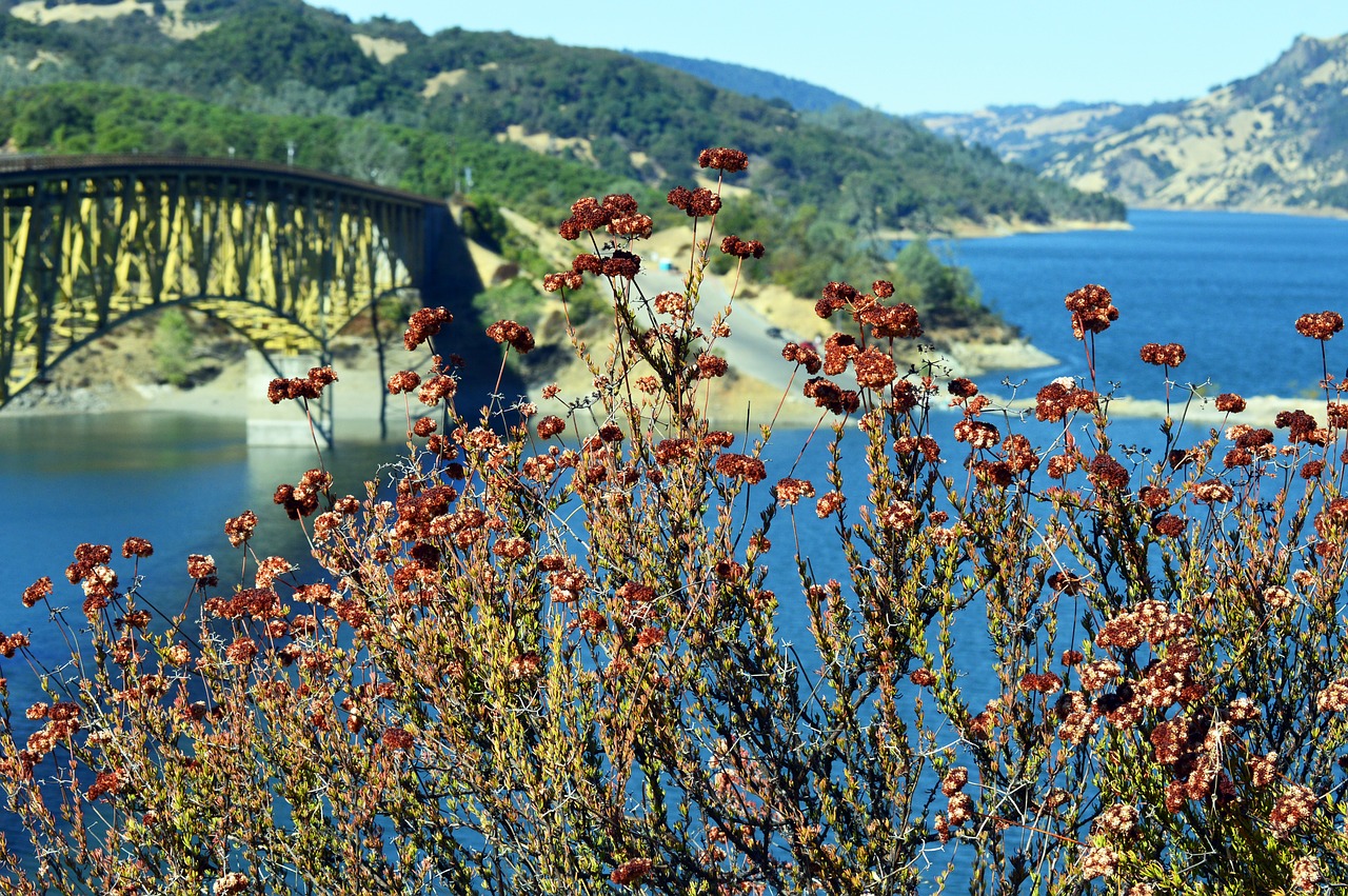 sonoma county valley free photo