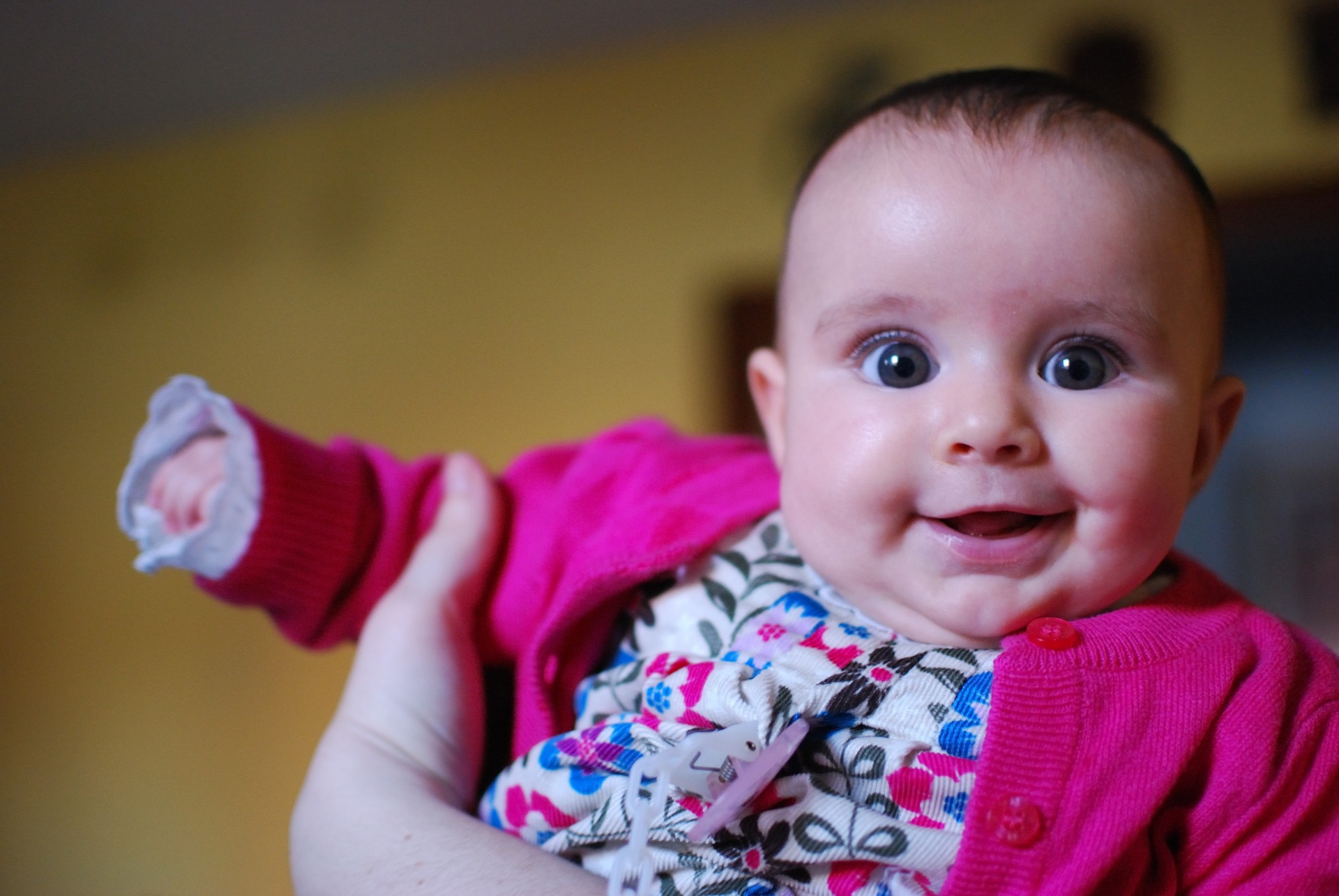 smile girl smiling girl free photo