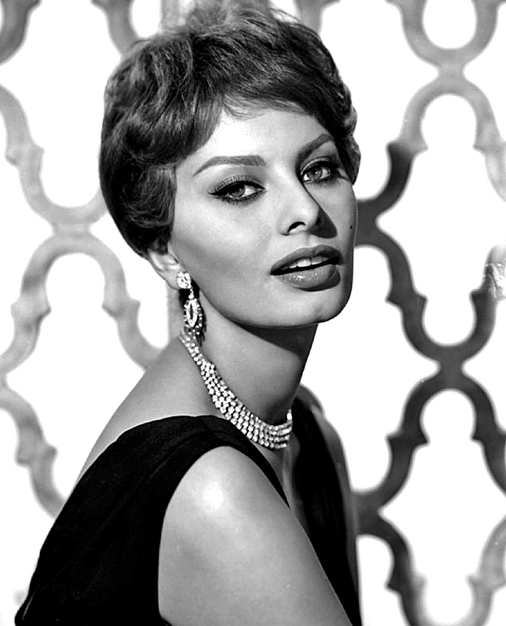 sophia loren actress vintage free photo